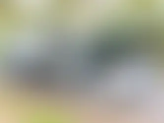 How to Manage Routes and Schedules for Maximum Efficiency