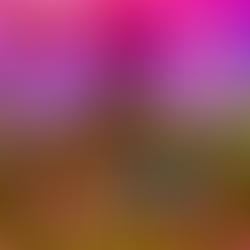 Jam of the Day | DUB EDITION (February 2024 | Week 2)