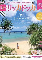 リッカドッカ35.png