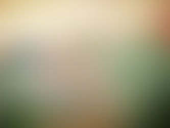 Как я получила отказ в испанской визе и
подавала на апелляцию