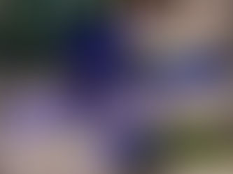 Ryttarsatsning Hösten 2025 - Fullt!