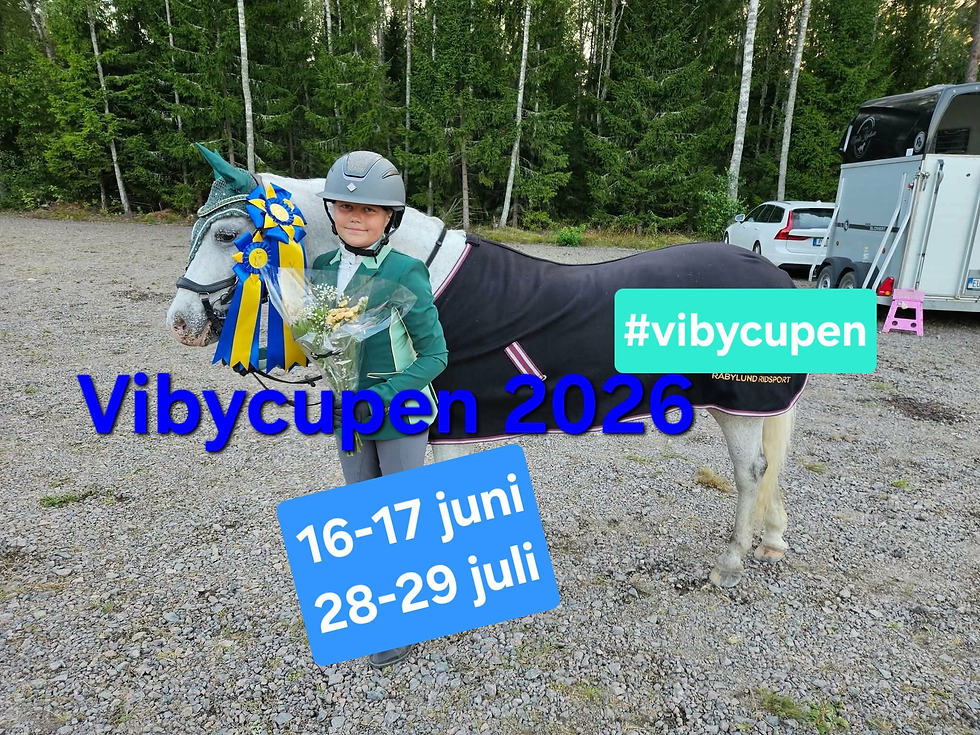 Vibycupen 2026