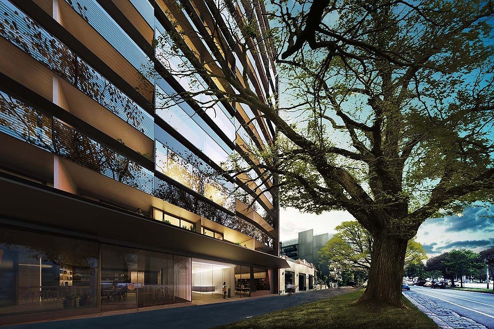 Nord Apartments building facade with mature tree-lined street, North Melbourne VIC