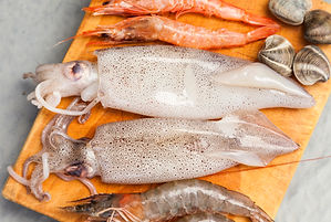 Cuttle Fish - AQP.jpg