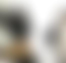 Panda algorithm and Penguin algorithm