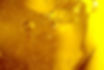 219417_227831183898120_180541_o.jpg