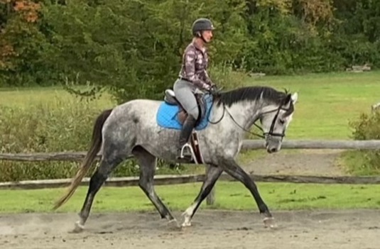 Frazier Farm Summer Riding Camp