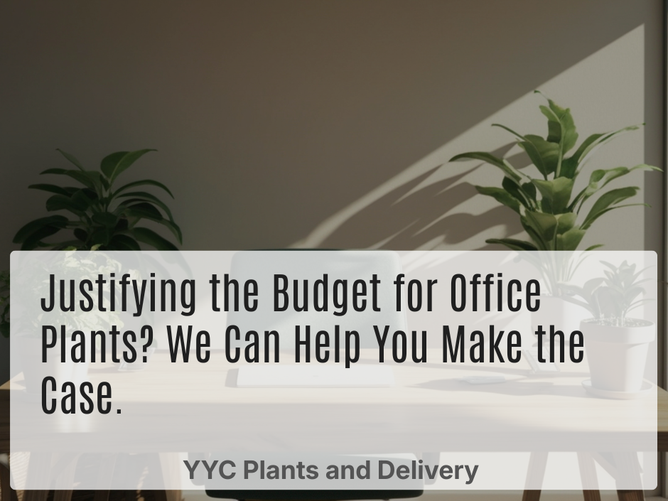 If you've ever tried to get a plant program approved by ownership, you know the conversation. It goes fine right up until someone asks "what's the return on this?" and suddenly a genuinely good idea for the building gets filed under "nice to have" and pushed to next year. That's a frustrating spot to be in, especially when you can see the value with your own eyes every time you walk through the lobby. If that's the wall you keep hitting, you're not alone, and it's exactly the kind of case we help property managers build.