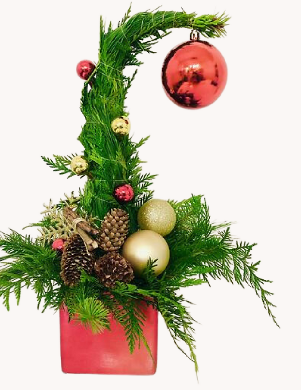 Fall and Winter Plant Workshops in Calgary: Seasonal Events Are Coming to YYC