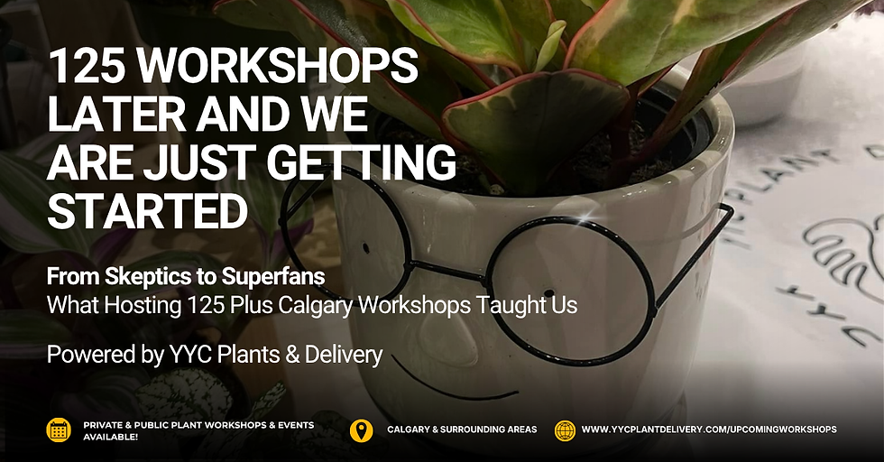YYC Plants and Delivery is celebrating a milestone: 125+ plant workshops hosted across Calgary, Airdrie, Okotoks, High River, and Foremost over 18 months. The piece covers their origin story (plants as a connector for everyone from enthusiasts to self-described "plant killers"), what they've learned hosting events of all sizes (10 to 60+ people) in venues from breweries to corporate boardrooms, and how their booking/setup/cleanup process works end-to-end. A recurring theme is that human connection, not the plants themselves, is the real product. It closes with a call to action for event planners, corporate coordinators, and individuals to book a public or private workshop, plus social links.