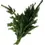 Thumbnail: Douglas Fir Bough (3lbs)
