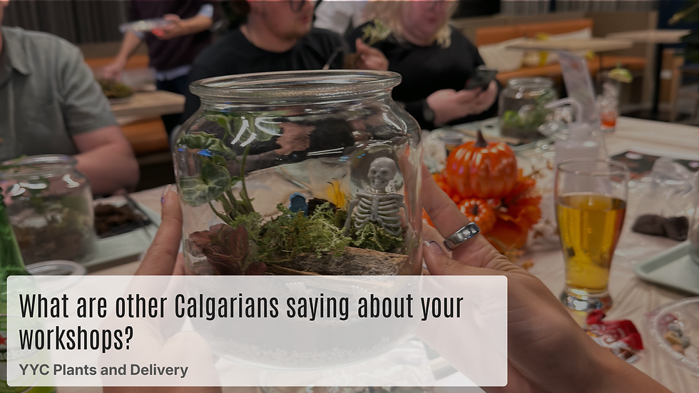 Promotional graphic for YYC Plants & Delivery featuring a guide to 25 frequently asked questions about plant workshops in Calgary. The image highlights information about terrarium workshops, succulent workshops, private events, corporate team building, birthdays, date nights, and what participants can expect. Designed to help customers learn about booking, workshop experiences, and hands-on plant classes suitable for all skill levels.