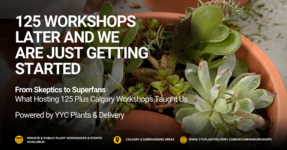 YYC Plants and Delivery is celebrating a milestone: 125+ plant workshops hosted across Calgary, Airdrie, Okotoks, High River, and Foremost over 18 months. The piece covers their origin story (plants as a connector for everyone from enthusiasts to self-described "plant killers"), what they've learned hosting events of all sizes (10 to 60+ people) in venues from breweries to corporate boardrooms, and how their booking/setup/cleanup process works end-to-end. A recurring theme is that human connection, not the plants themselves, is the real product. It closes with a call to action for event planners, corporate coordinators, and individuals to book a public or private workshop, plus social links.
