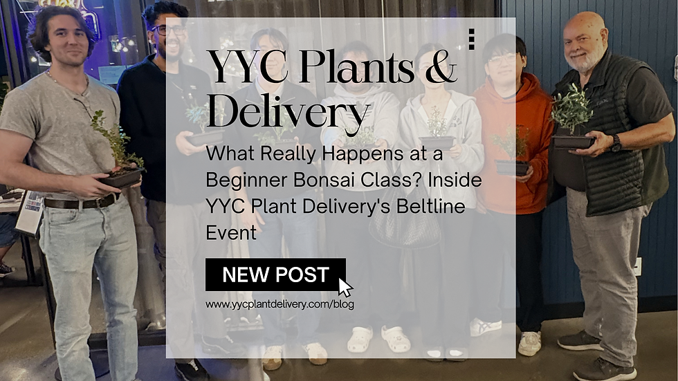 Beginner Bonsai Workshop in Calgary