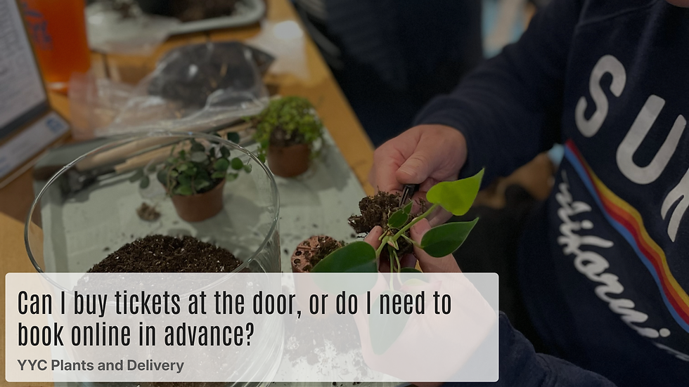 Promotional graphic for YYC Plants & Delivery featuring a guide to 25 frequently asked questions about plant workshops in Calgary. The image highlights information about terrarium workshops, succulent workshops, private events, corporate team building, birthdays, date nights, and what participants can expect. Designed to help customers learn about booking, workshop experiences, and hands-on plant classes suitable for all skill levels.