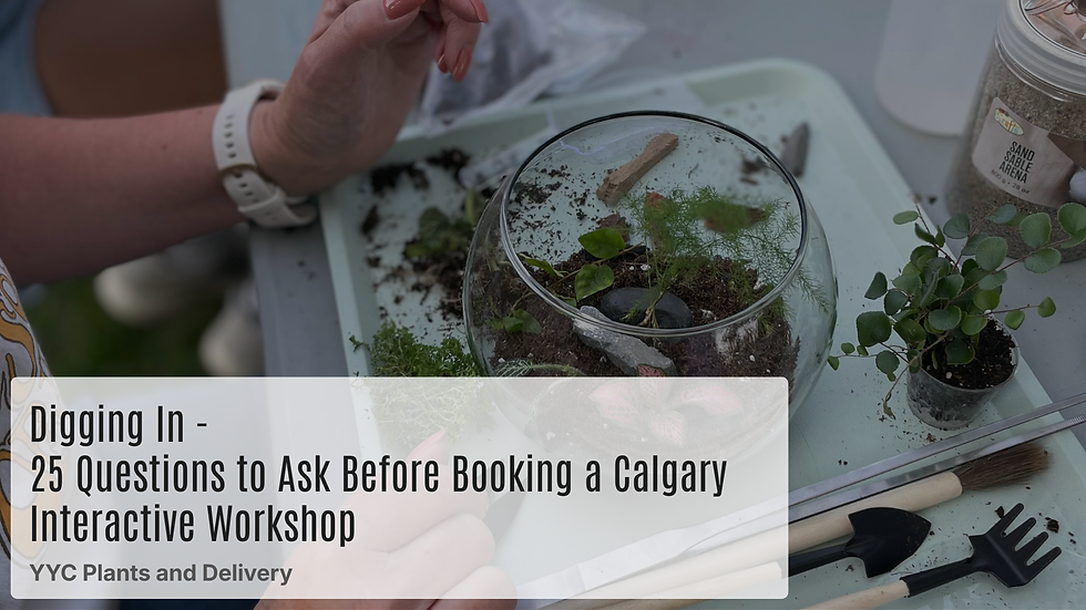Promotional graphic for YYC Plants & Delivery featuring a guide to 25 frequently asked questions about plant workshops in Calgary. The image highlights information about terrarium workshops, succulent workshops, private events, corporate team building, birthdays, date nights, and what participants can expect. Designed to help customers learn about booking, workshop experiences, and hands-on plant classes suitable for all skill levels.