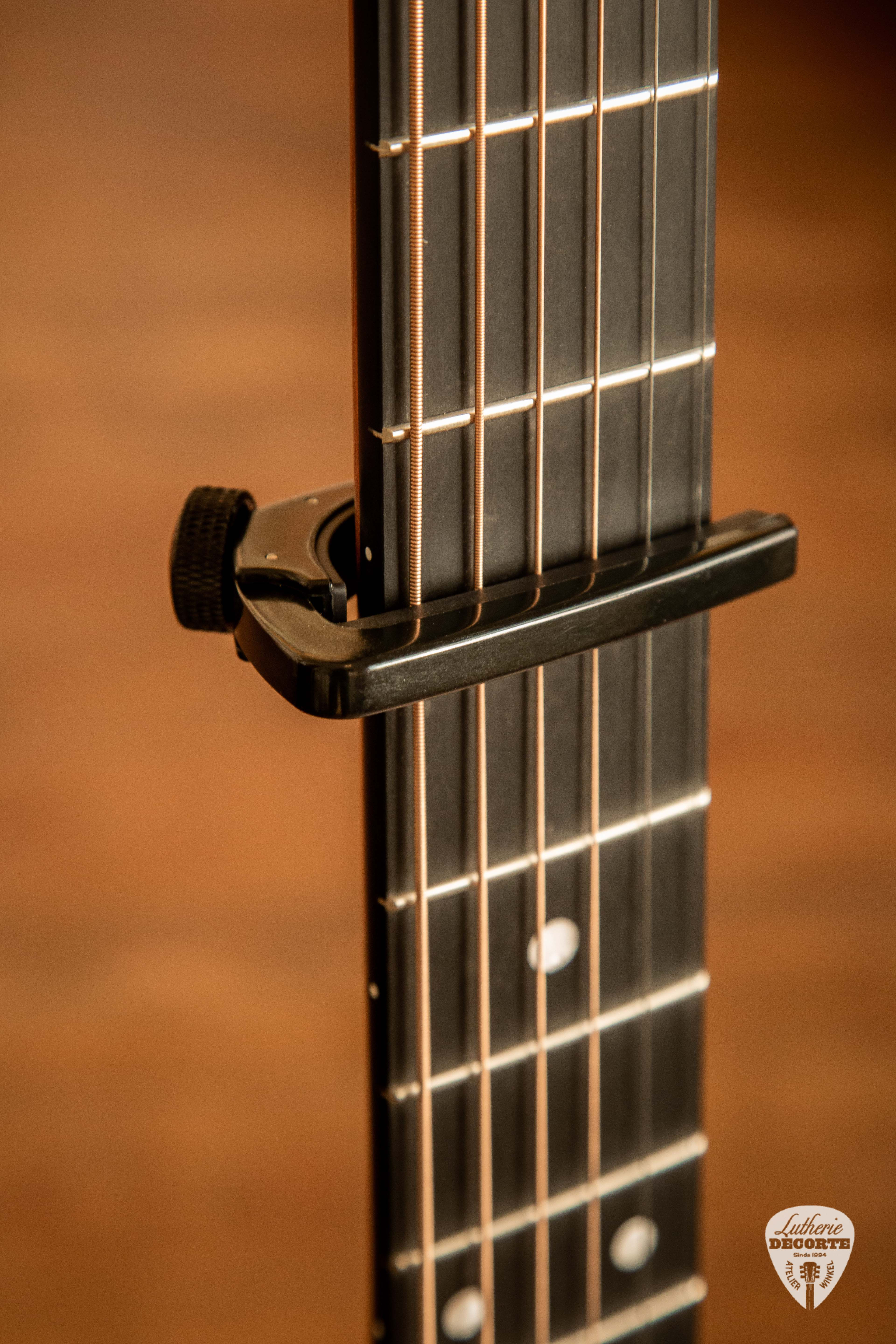 Capo d'Addario Planetwaves Folk