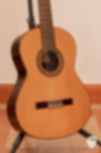 Altamira N300