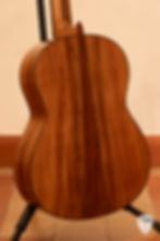 Esteve 12R vuren