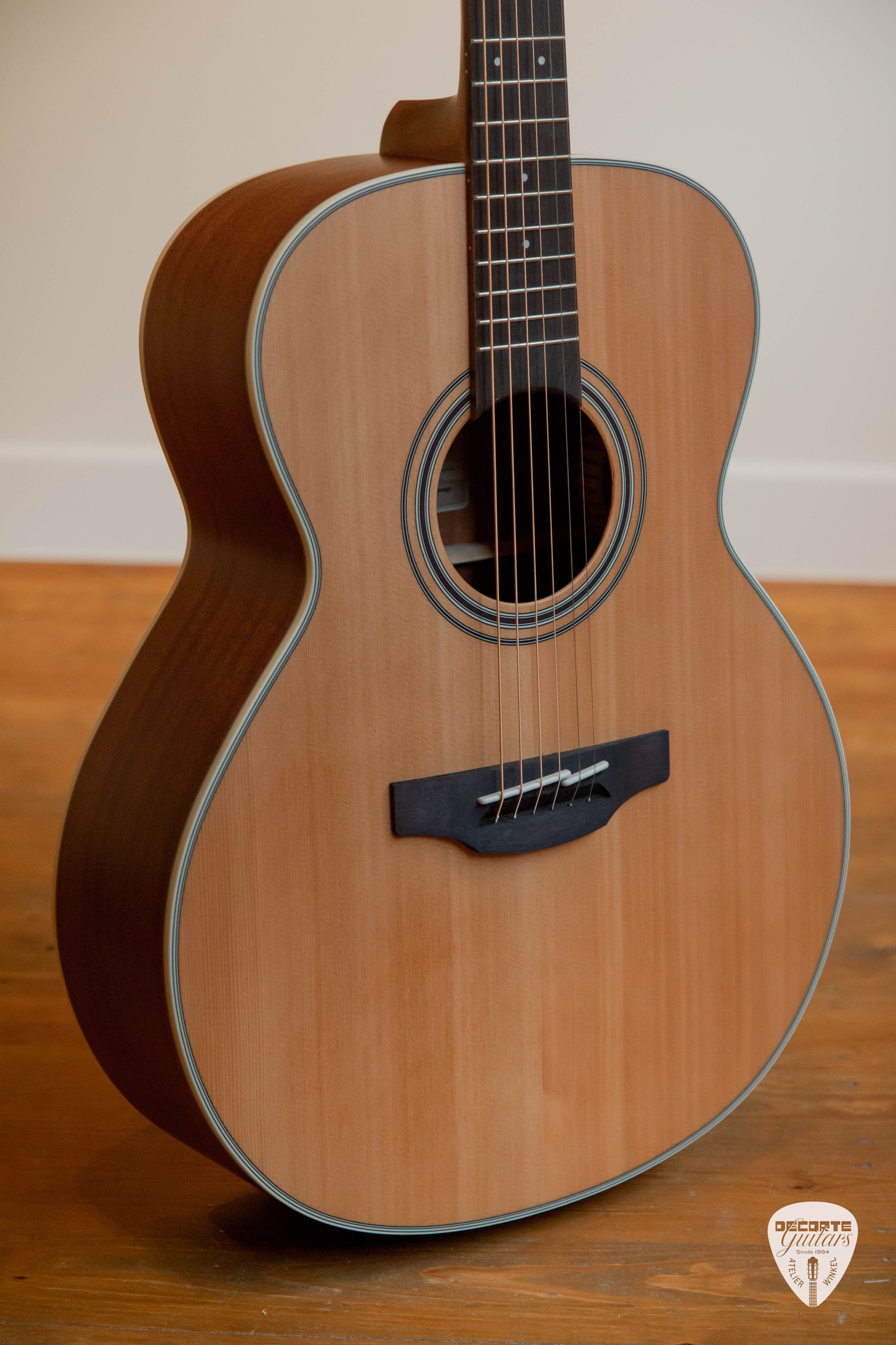 Takamine GN20 Basic
