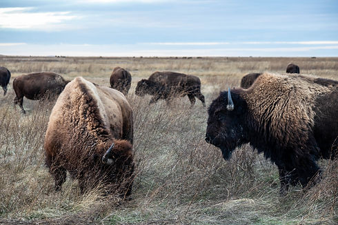 SouthDakota-0918.jpg