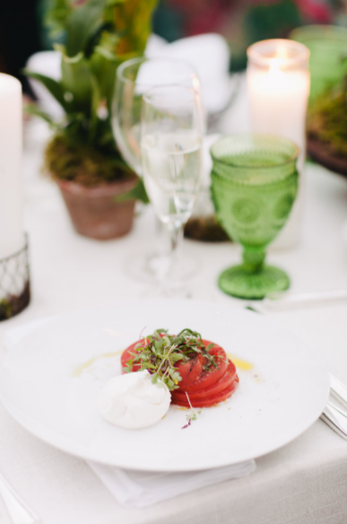 Tomato, Basil + Burrata Salad
