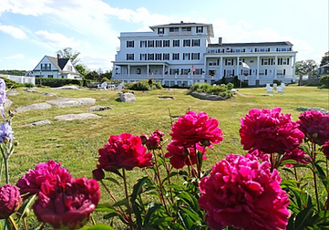 Screenshot 2026-01-12 at 10.50.02 AM.png