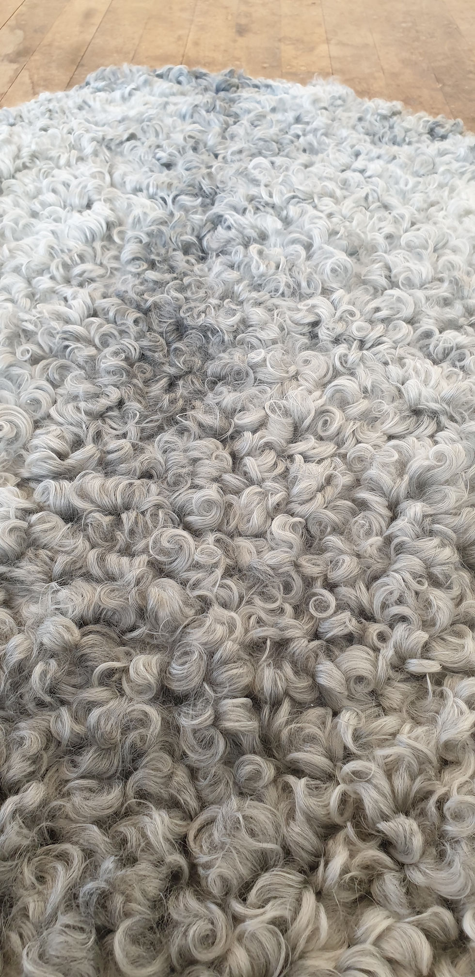 Miniatyrbild: Lammskinn 4