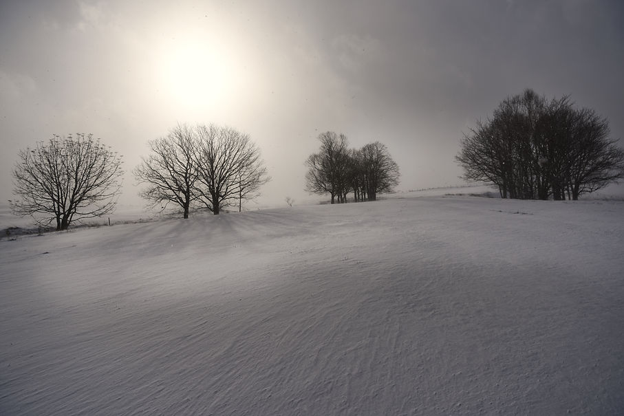 D81_9401.jpeg