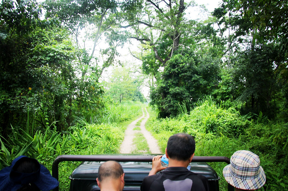 Jeep Safari