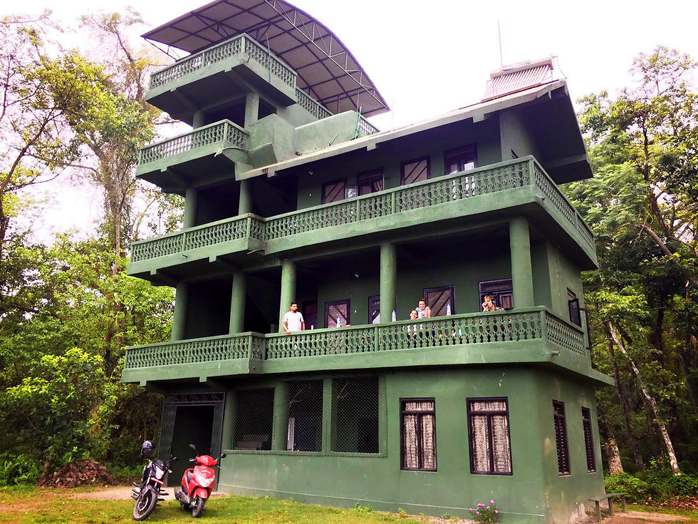 Tower in the jungle