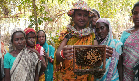 Jani's Story: Changing lives through beekeeping