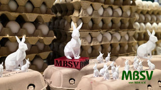 Volltreffer beim Ostereierschießen des MBSV