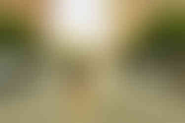 Engagement Session in downtown Elgin 