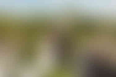 Wedding photography at Cantigny in Wheaton IL