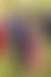 Posed guest photo at cocktail hour