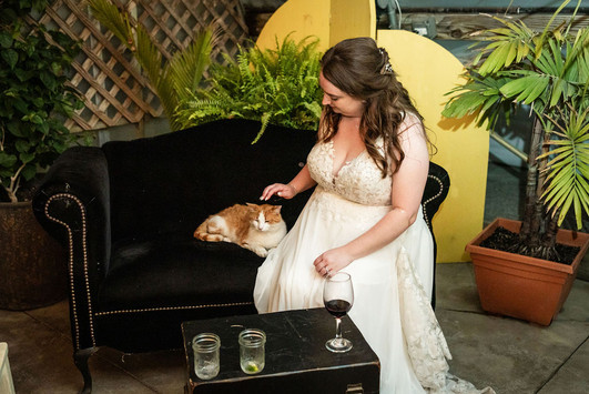 Bride petting cat on couch at Heritage Prairie Farm