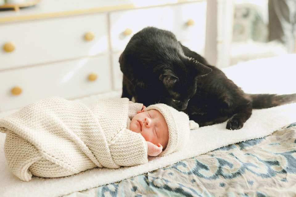 lifestyle newborn laying on bed with cat 