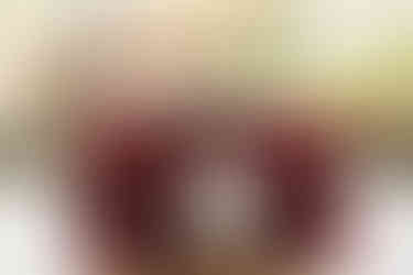 Morning wedding reception at The Morton Arboretum in Lisle IL