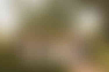 Wedding photography at Cantigny Wheaton IL