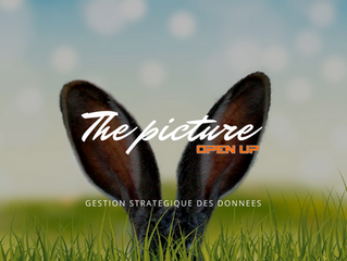 Big Data et Big Picture