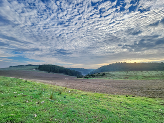 Friday December 8, 2023