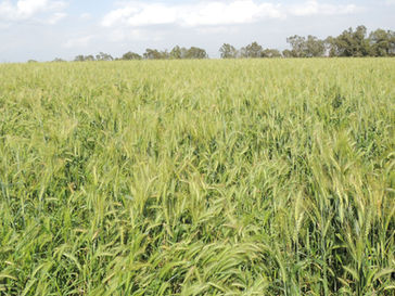 Thursday March 7, 2024