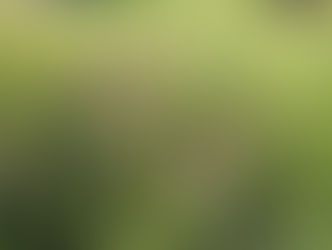 Monday February 23, 2026