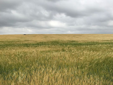 Monday March 18, 2024