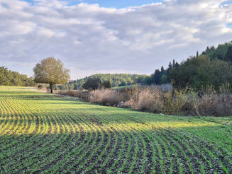 Sabbath November 30, 2024