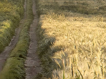 Sabbath March 16, 2024: Take 2