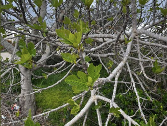 Sabbath March 18, 2023: Take 2