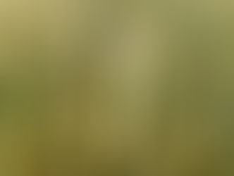 Sabbath March 25, 2023