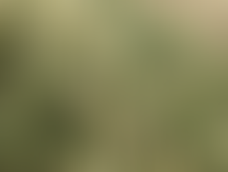 Sabbath March 25, 2023